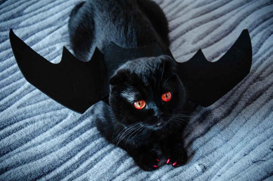 fantasias de halloween
