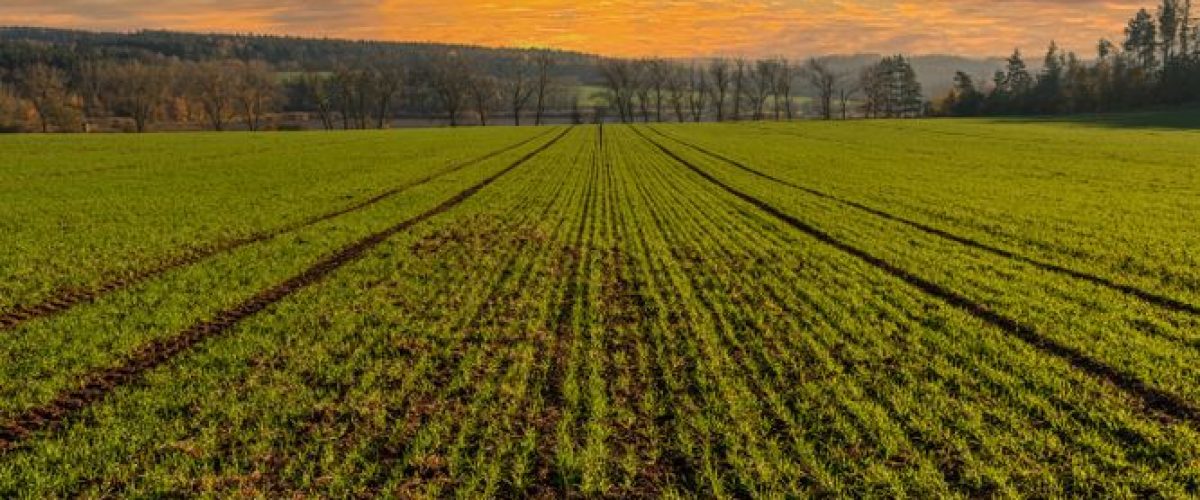 A Fazenda 2026