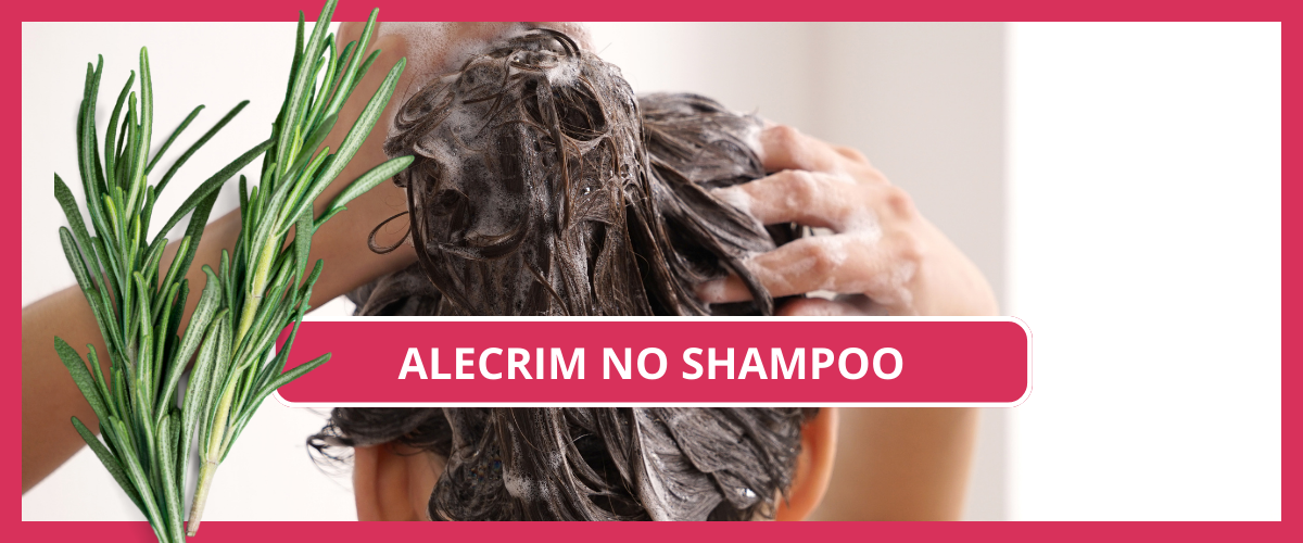 alecrim no shampoo